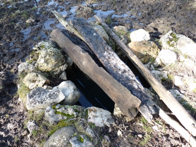 Pozo de los Llanos - imagen 5