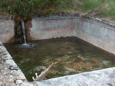 Fuente de la Pumareja - imagen 4