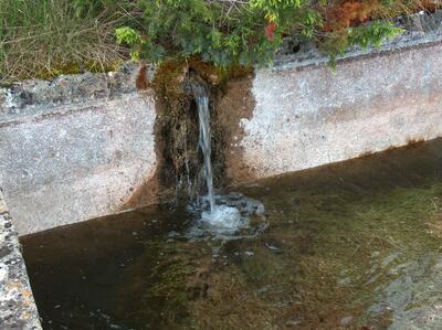 Fuente de la Pumareja - imagen 5