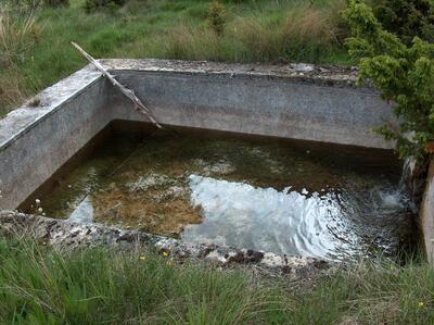 Fuente de la Pumareja - imagen 6