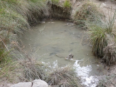 Quemado, del - imagen 2