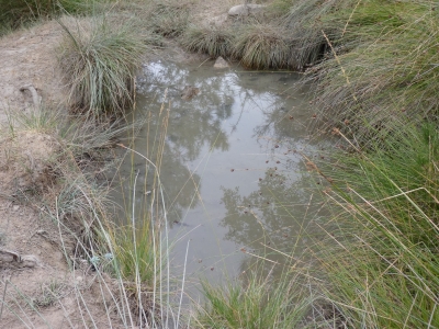 Quemado, del - imagen 3