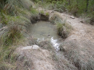 Quemado, del - imagen 5