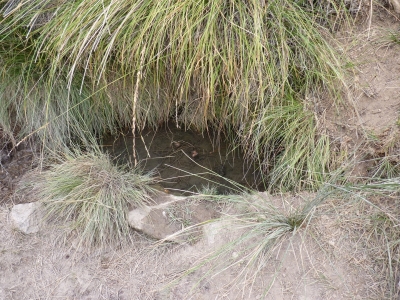 Quemado, del - imagen 6