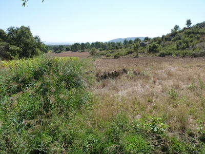 Rendija, de la - imagen 3