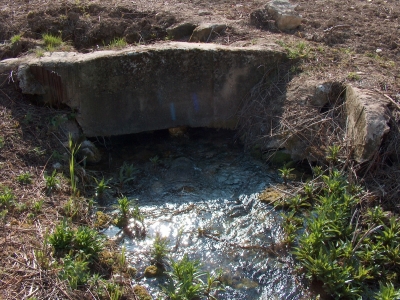 Fuente del Rey II - imagen 10