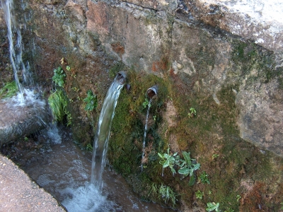 Fuente del Rey - imagen 1