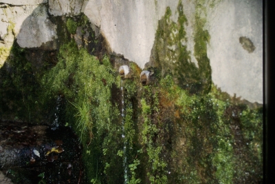 Fuente del Rey - imagen 2
