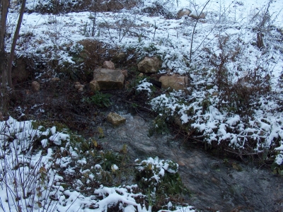 Fuente del Rey - imagen 5