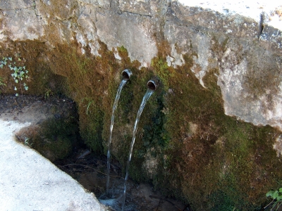 Fuente del Rey - imagen 7