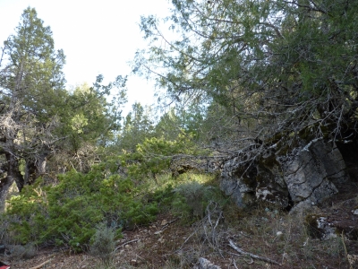 Fuente del Rey - imagen 5