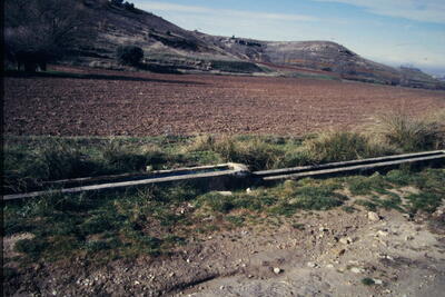 Rey, del - imagen 1