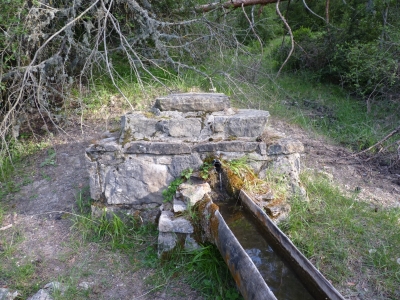 Fuente del Rincón del Boñigar - imagen 2