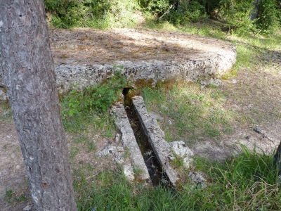 Fuente del Rincón del Boñigar - imagen 7