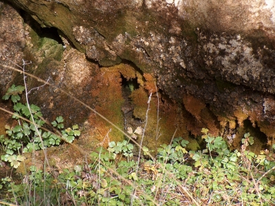 Fuente del Rincón del Cuervo - imagen 3
