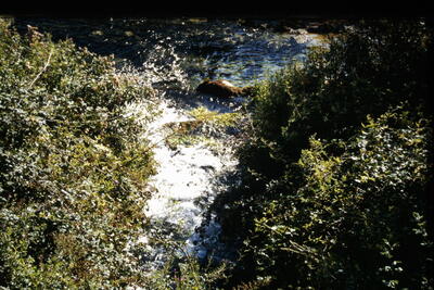Royofrío - imagen 2
