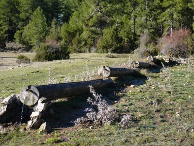 Fuente de la Sabina - imagen 1