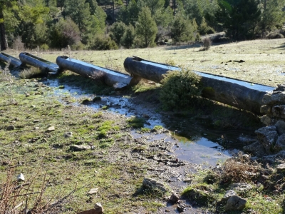 Fuente de la Sabina - imagen 2