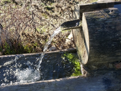 Fuente de la Sabina - imagen 7