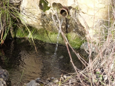 Fuente de San Fernandico I - imagen 2