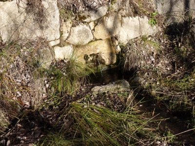 Fuente de San Fernandico I - imagen 4