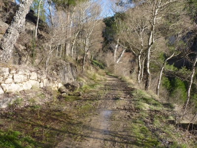 Fuente de San Fernandico I - imagen 6
