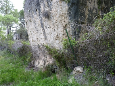 Fuente de San Fernandico III - imagen 1