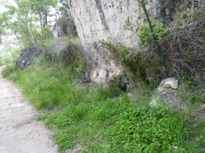 Fuente de San Fernandico III - imagen 2