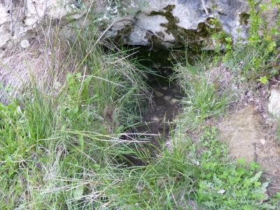 Fuente de San Fernandico III - imagen 3