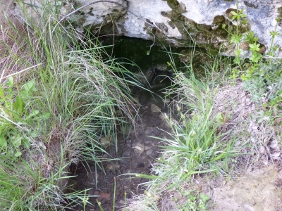 Fuente de San Fernandico III - imagen 4