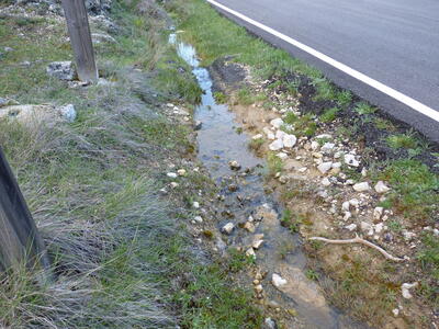 Sin Nombre, cruce vaquerizas - imagen 2