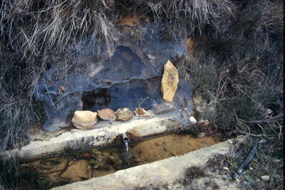 Sin Nombre 08122003 - imagen 2