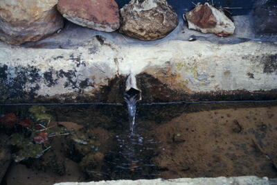 Sin Nombre 08122003 - imagen 4