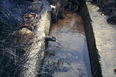 Sin Nombre 08122003 - imagen 5