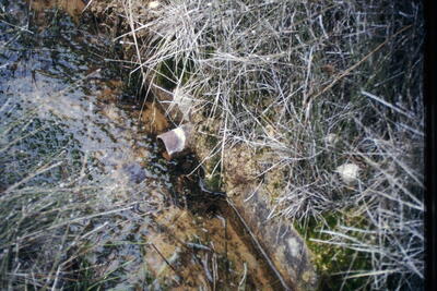 Sin Nombre 08122003 - imagen 6