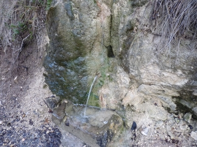 Fuente del Chorrillo - imagen 6