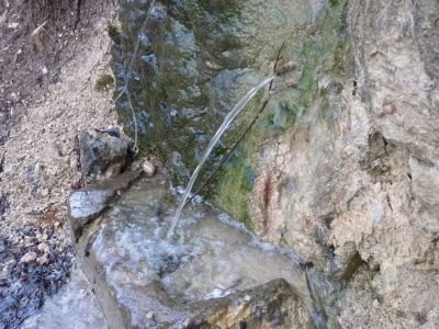 Fuente del Chorrillo - imagen 8