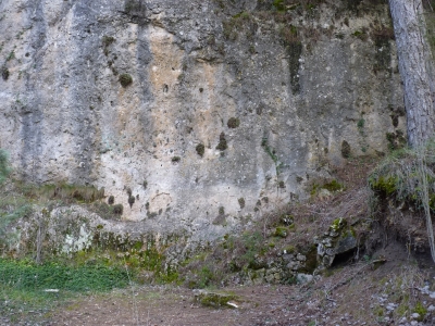 Fuente de la Teja I - imagen 2