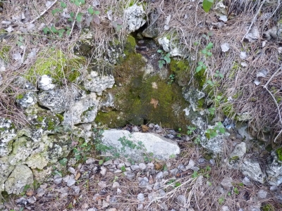 Fuente de la Teja I - imagen 3