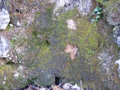 Fuente de la Teja I - imagen 4