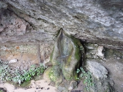 Fuente de la Teja II - imagen 3