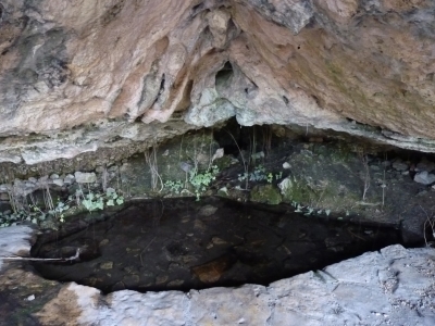 Fuente de la Teja III - imagen 3