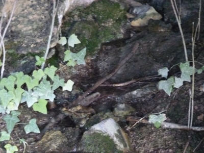 Fuente de la Teja III - imagen 4