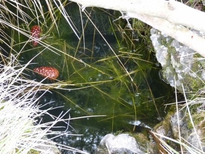 Pozo Chumillas - imagen 1