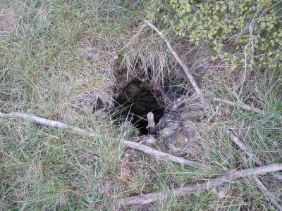 Pozo Chumillas - imagen 3