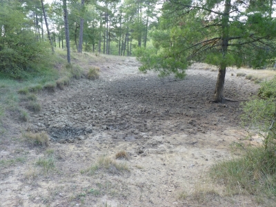 Pozo Chumillas - imagen 5