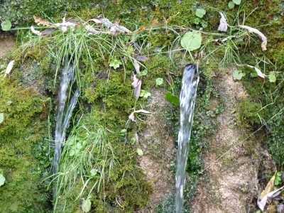 Fuente de la Tía Perra - imagen 5
