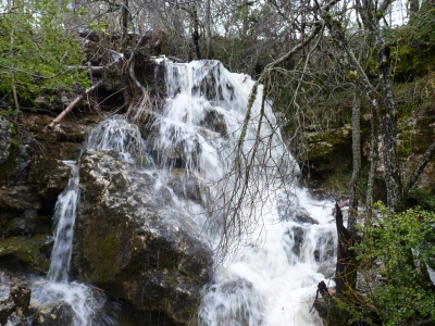 Fuente de la Tía Perra - imagen 6