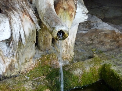 Fuente de la Tía Perra (área recreativa I) - imagen 3