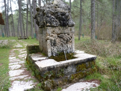 Fuente del Tío Cayo - imagen 2
